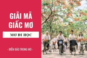 Giải mã giấc mơ đi học: Sự ham muốn và khát khao học hỏi