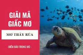 Giải mã giấc mơ thấy rùa: Bí mật những con số may mắn nhất