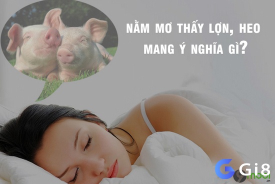 Nằm mơ thấy heo là chuyện bình thường