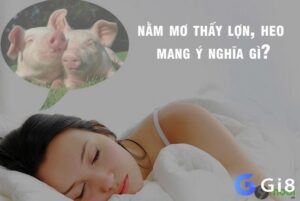 Giải mã giấc mơ thấy con heo chi tiết và bộ số đề đẹp