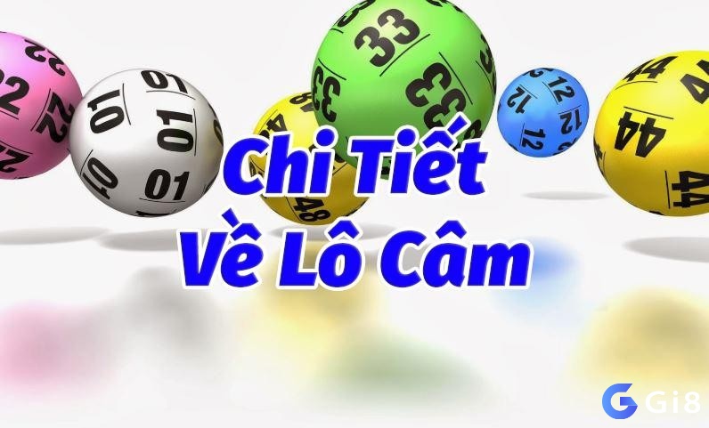 Đầu đuôi câm là như thế nào?