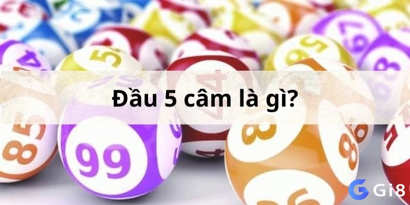 Đâu cầm 5 là hiện tượng khi không có chữ số 5 xuất hiện ở vị trí đầu của bất kỳ giải thưởng nào trong kết quả xổ số