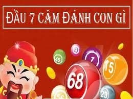 Đâu cầm 7 mai đánh con gì hiệu quả? Kinh nghiệm áp dụng