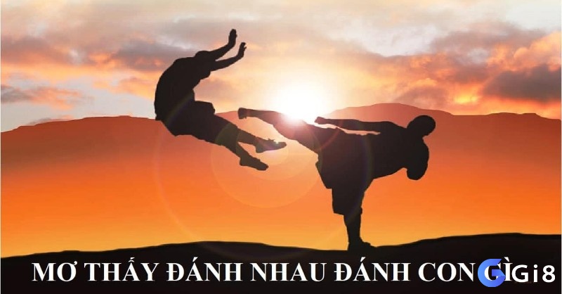 Tìm hiểu mơ đánh nhau đánh số gì cùng Gi8 nhé!