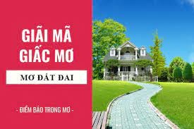 Nằm mơ thấy đất đai đánh số gì: Tìm hiểu về con số và ý nghĩa