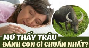 Nằm mơ thấy trâu đánh số gì? Là dự báo lành hay dữ?