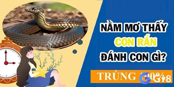 Rắn, một loài động vật khá nhạy cảm