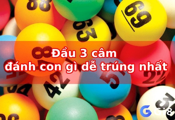 Đâu cầm 3 mai đánh con gì để dễ trúng nhất? 