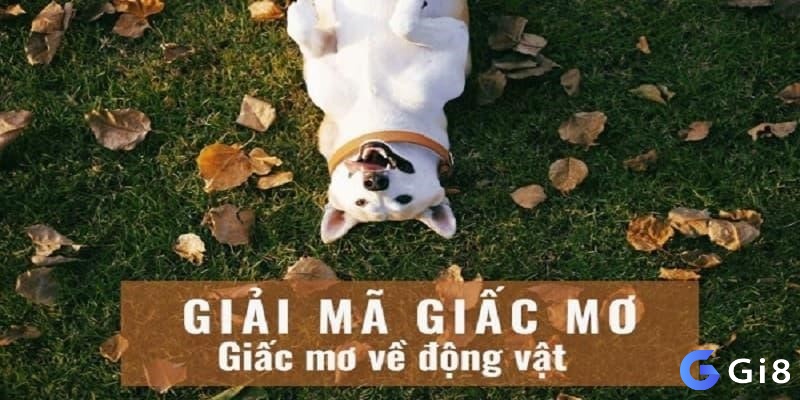 Giải mã giấc mơ lô đề con vật hiệu quả