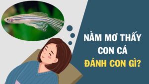 Nằm mơ thấy cá đánh số gì: Giải mã chi tiết ý nghĩa của giấc mơ