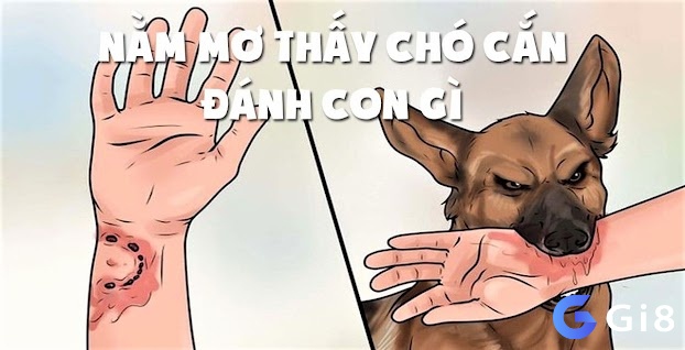 Mơ thấy chó cắn và con số liên quan