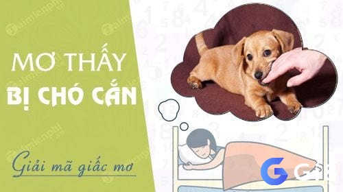 Chiêm bao thấy chó cắn thường có điềm báo riêng