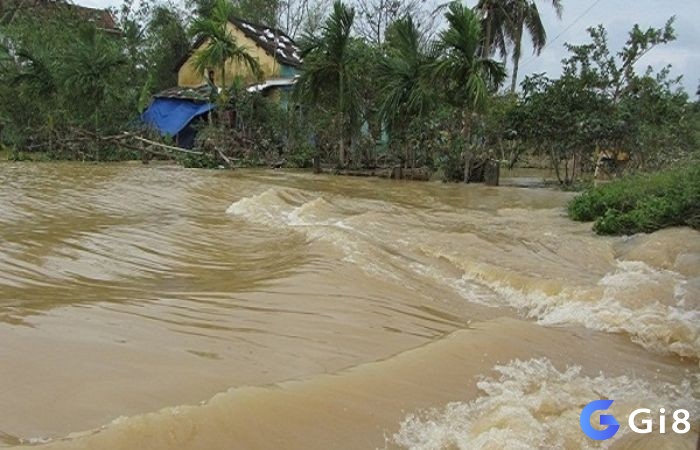 Chiêm bao thấy nước lũ cho thấy bạn đang tập trung vào điều gì đó quá mức