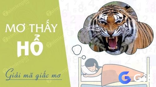 Cùng Gi8 giải mã giấc mơ thấy hổ đánh đề con gì may mắn, dễ trúng nhất nhé!