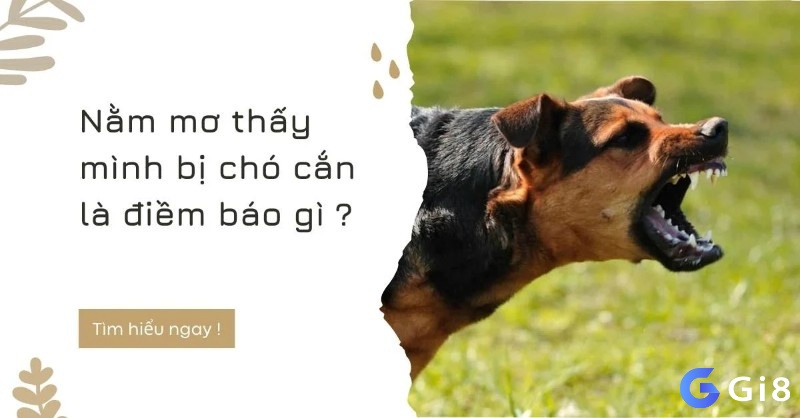 Mơ thấy chó cắn dự báo điềm xui xẻo và có liên quan tới trò chơi lô đề không?