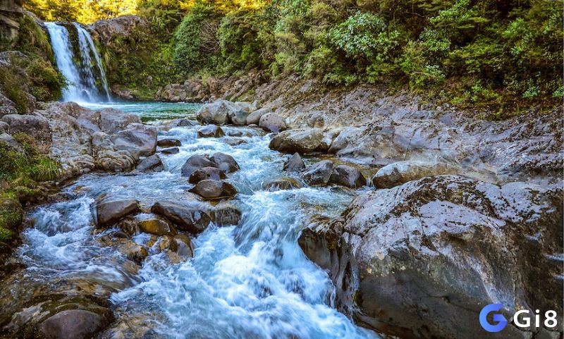 Nằm mơ thấy nước chảy không ngừng là dấu hiệu của sự may mắn