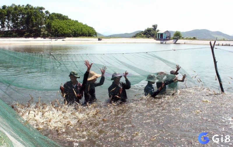 Mơ thấy ao tôm cho thấy yên bình trong gia đình bạn